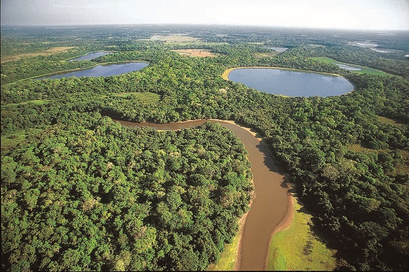 Vista do Pantanal MS